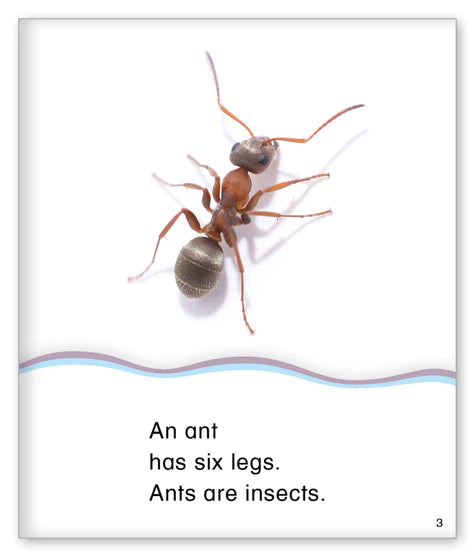 Kid Lit Level D(Community)Six Legs