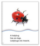 Kid Lit Level D(Community)Six Legs