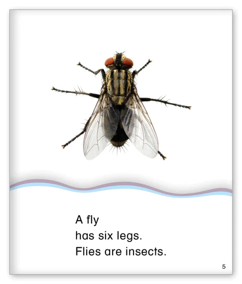 Kid Lit Level D(Community)Six Legs