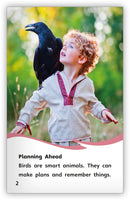 Smart Birds, Amazing Birds (Fables & The Real World)