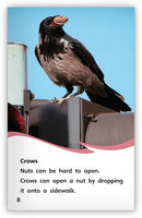 Smart Birds, Amazing Birds (Fables & The Real World)