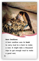 Smart Birds, Amazing Birds (Fables & The Real World)