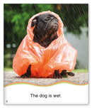 Kid Lit Level A(Weather)So Wet