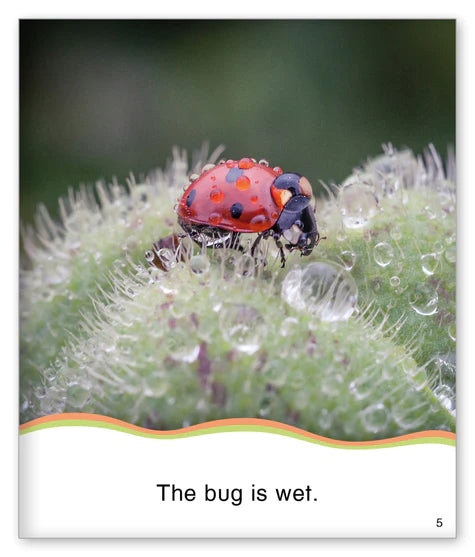 Kid Lit Level A(Weather)So Wet