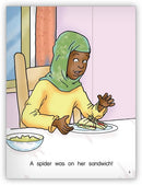 Kaleidoscope GR-F: Spider Sandwich