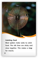 Spiderwebs (Fables & The Real World)