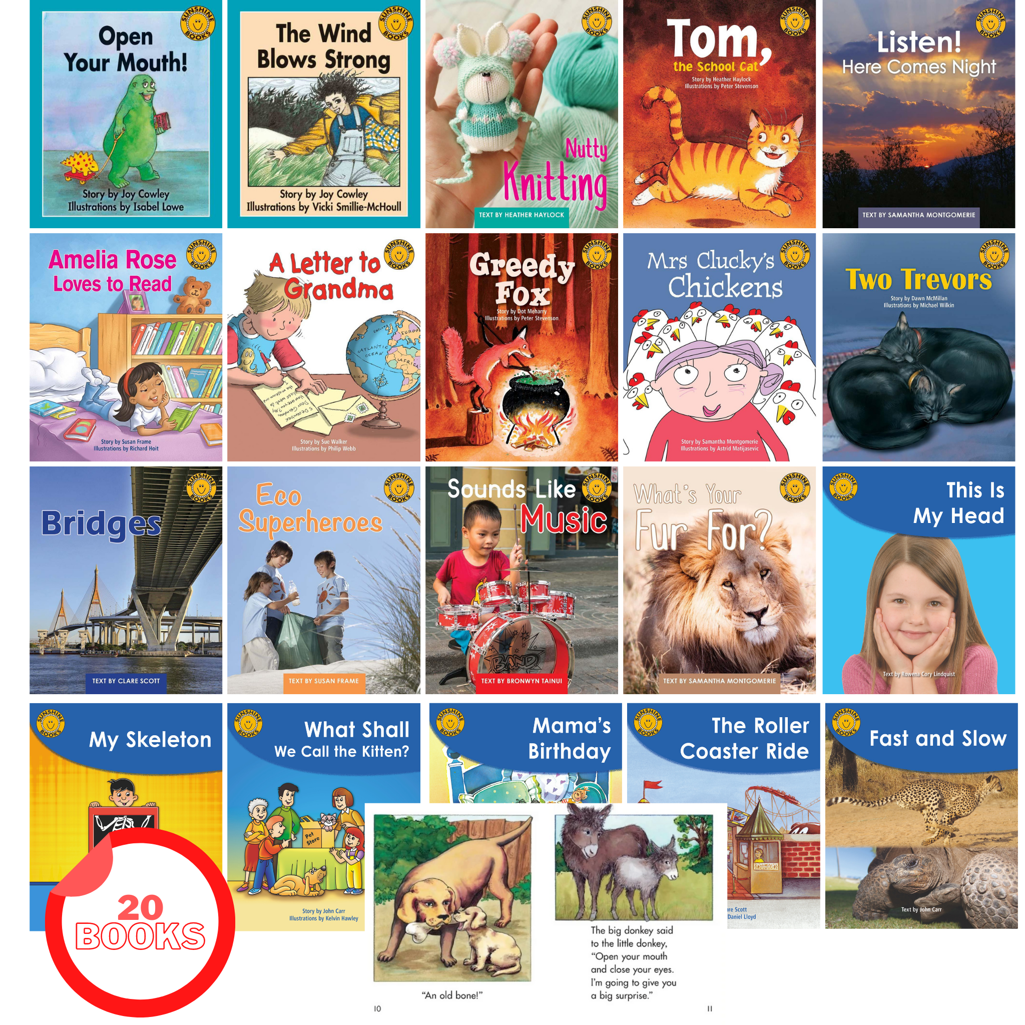 Sunshine Books Level 10 Book Pack(20 books)