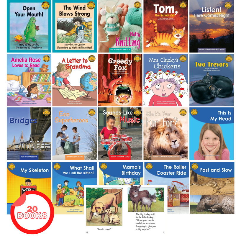 Sunshine Books Level 10 Book Pack(20 books)