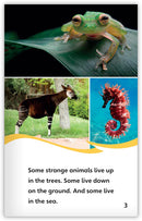 Strange Animals All Around (Fables & The Real World)