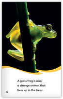 Strange Animals All Around (Fables & The Real World)