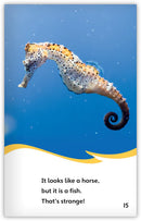 Strange Animals All Around (Fables & The Real World)