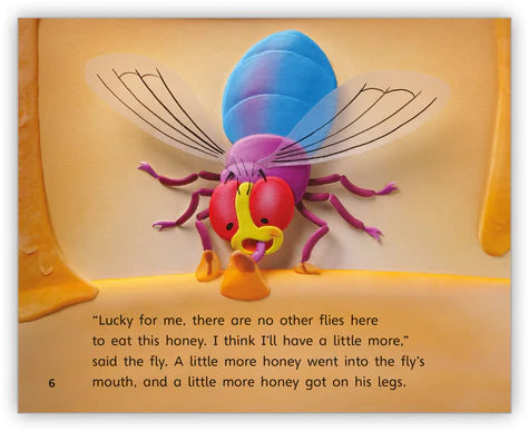 The Fly and the Honey Pot (Fables & The Real World)BIG BOOK