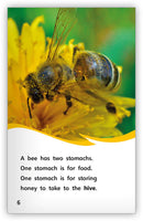 The Incredible Bee (Fables & The Real World)