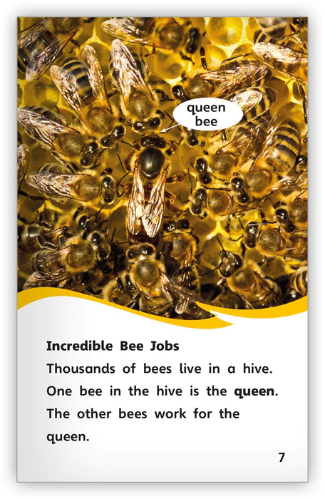 The Incredible Bee (Fables & The Real World)
