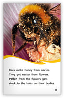 The Incredible Bee (Fables & The Real World)