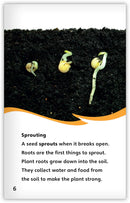 The Life Cycle of a Plant (Fables & The Real World)