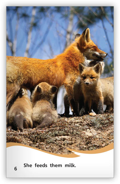 The Life of a Fox (Fables & The Real World)