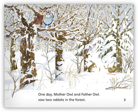 The Owl and the Rabbits (Fables & The Real World)BIG BOOK