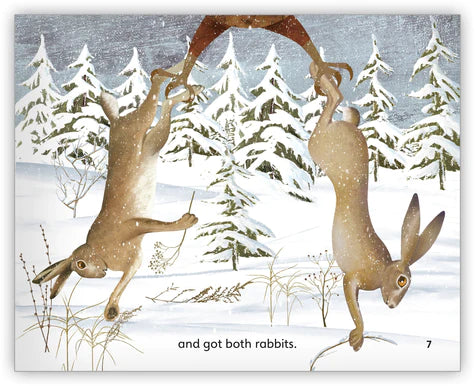 The Owl and the Rabbits (Fables & The Real World)BIG BOOK