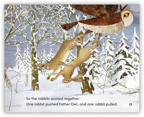 The Owl and the Rabbits (Fables & The Real World)BIG BOOK