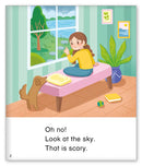 Kid Lit Level C(Weather)The Storm