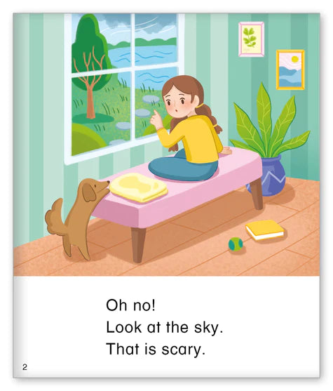 Kid Lit Level C(Weather)The Storm