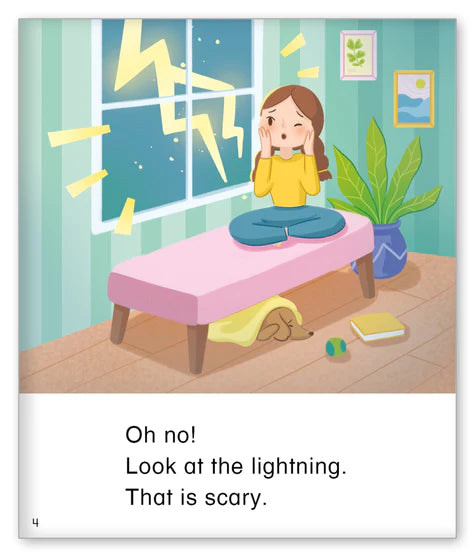 Kid Lit Level C(Weather)The Storm