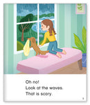 Kid Lit Level C(Weather)The Storm