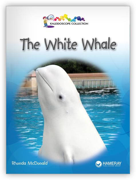 Kaleidoscope GR-I: The White Whale