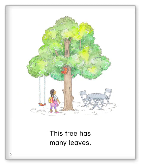 Kid Lit Level B(Weather)This Tree