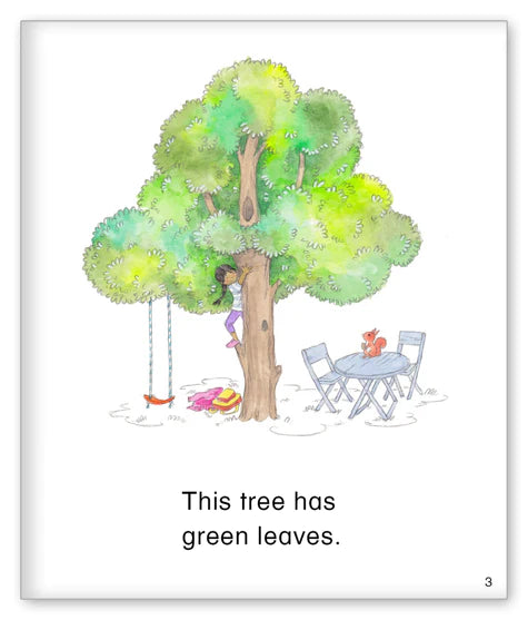 Kid Lit Level B(Weather)This Tree