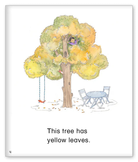 Kid Lit Level B(Weather)This Tree