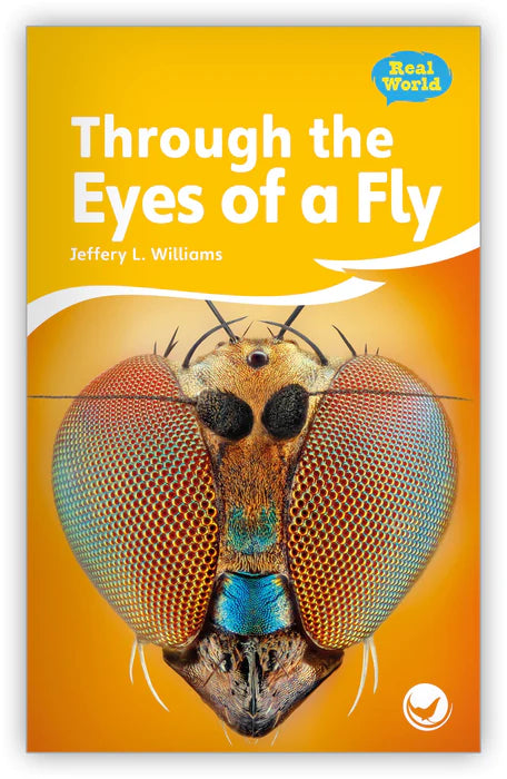 Through the Eyes of a Fly (Fables & The Real World)