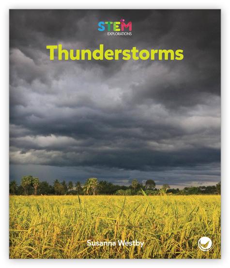 Thunderstorms (Level I)