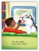 Kaleidoscope Big Book GR-E:  Too Many Treats