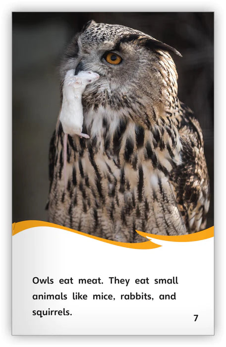 Unusual Owls (Fables & The Real World)