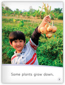 My World: Up and Down