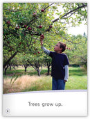 My World: Up and Down