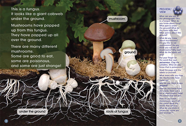 Key Links Green Book 15, Level 13: Up Pops a Mushroom