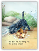 Kaleidoscope GR-C: Wet, Wet, Wet