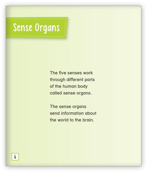 What Are Five Senses? (Level H)