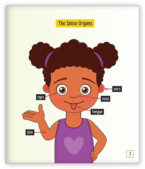 What Are Five Senses? (Level H)