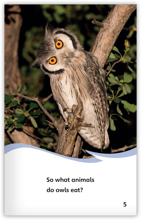 What Do Owls Eat?(Fables & The Real World)