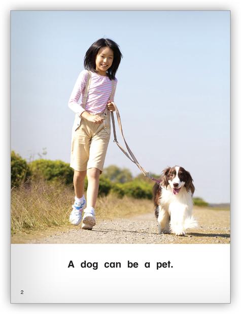 Kaleidoscope Big Book GR-A: What Is a Pet?