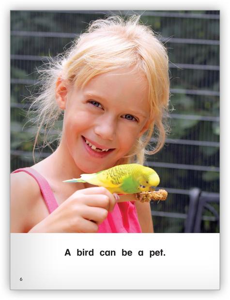 Kaleidoscope Big Book GR-A: What Is a Pet?