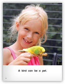Kaleidoscope Big Book GR-A: What Is a Pet?