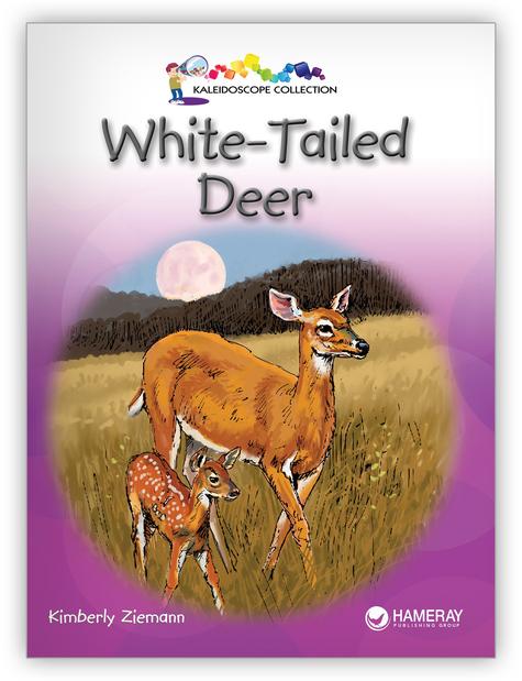 Kaleidoscope GR-F: White - Tailed Deer