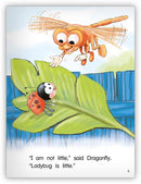 Kaleidoscope Big Book GR-D: Who Is Little?