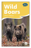 Wild Boars (Fables & The Real World)