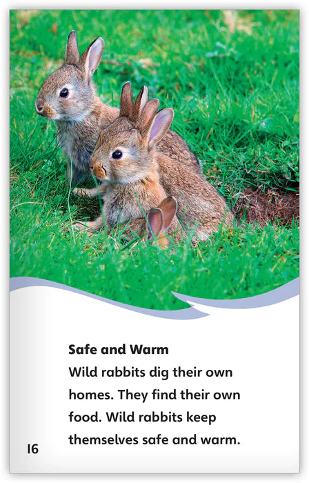 Wild Rabbits (Fables & The Real World)